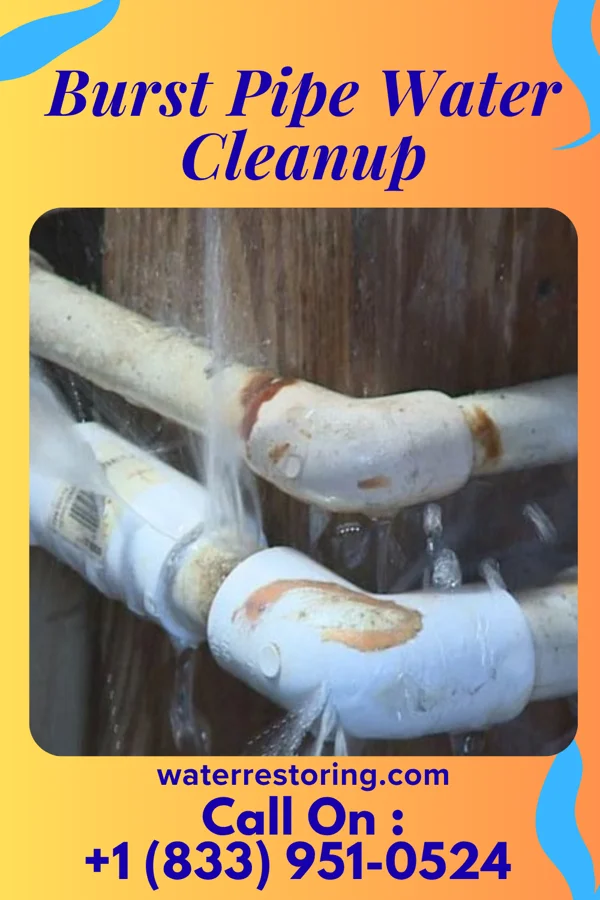 Burst Pipe Water Cleanup in Somerset, KS