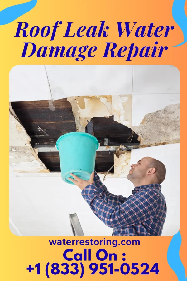 Roof Leak Water Damage Repair in Somerset, KS