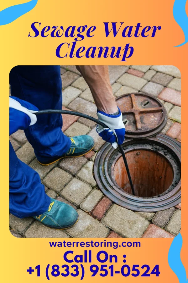 Sewage Water Cleanup in Somerset, KS